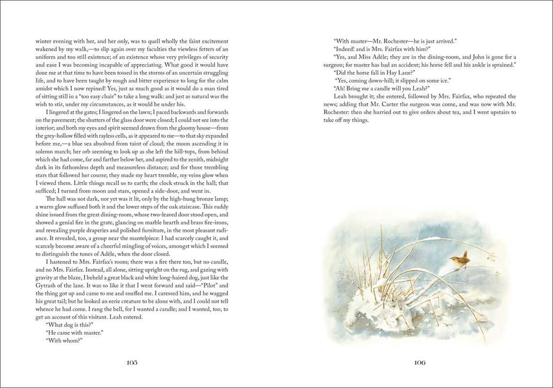 Jane Eyre: Illustrations by Marjolein Bastin (Hardcover)