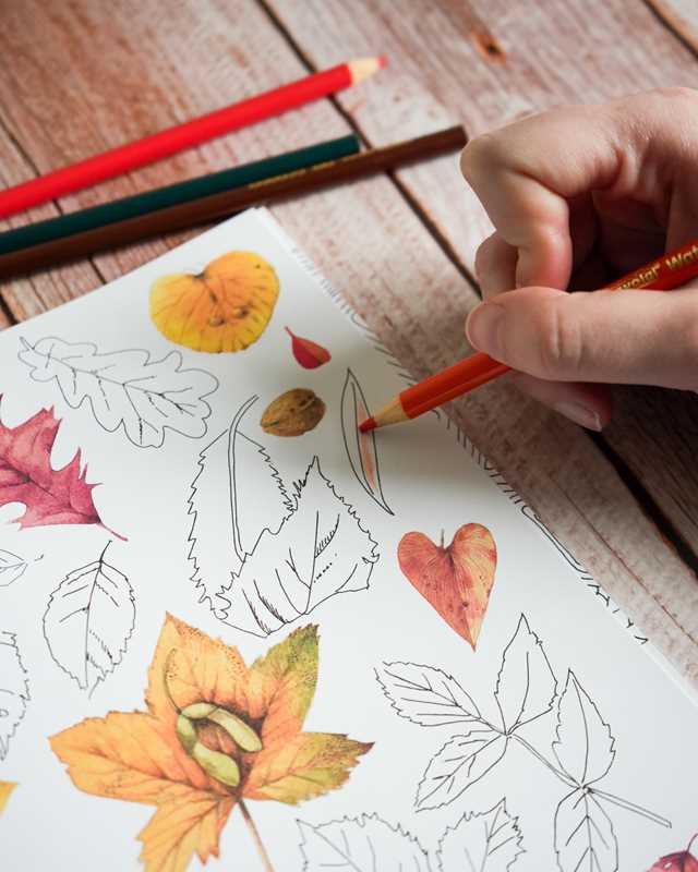 Magical Nature Coloring Pages by Marjolein  Bastin