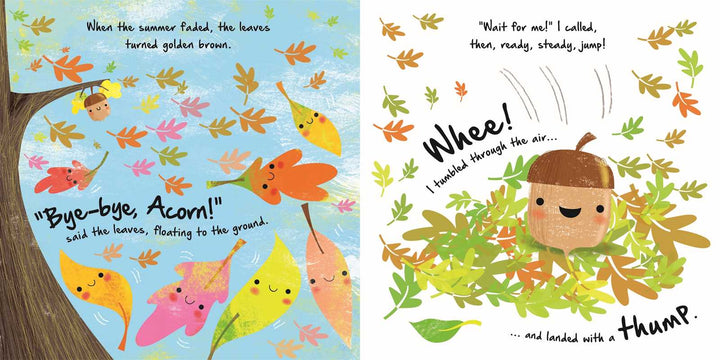 Nature Stories: Little Acorn (Board Book) by IglooBooks