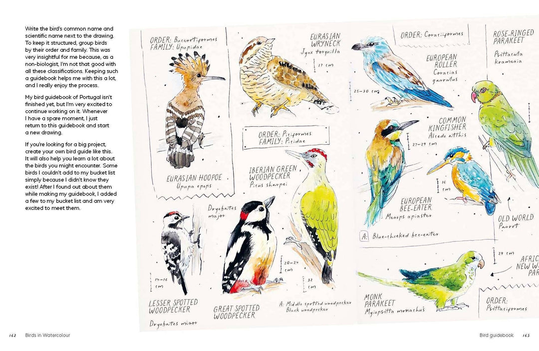 Birds in Watercolour