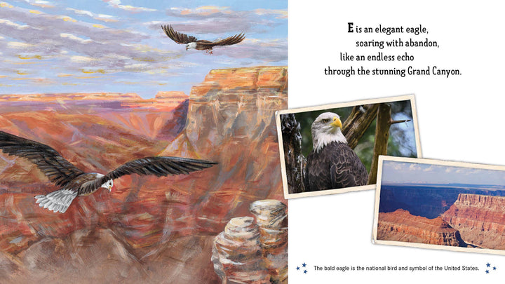 Land of the Free America's ABC Picture Book