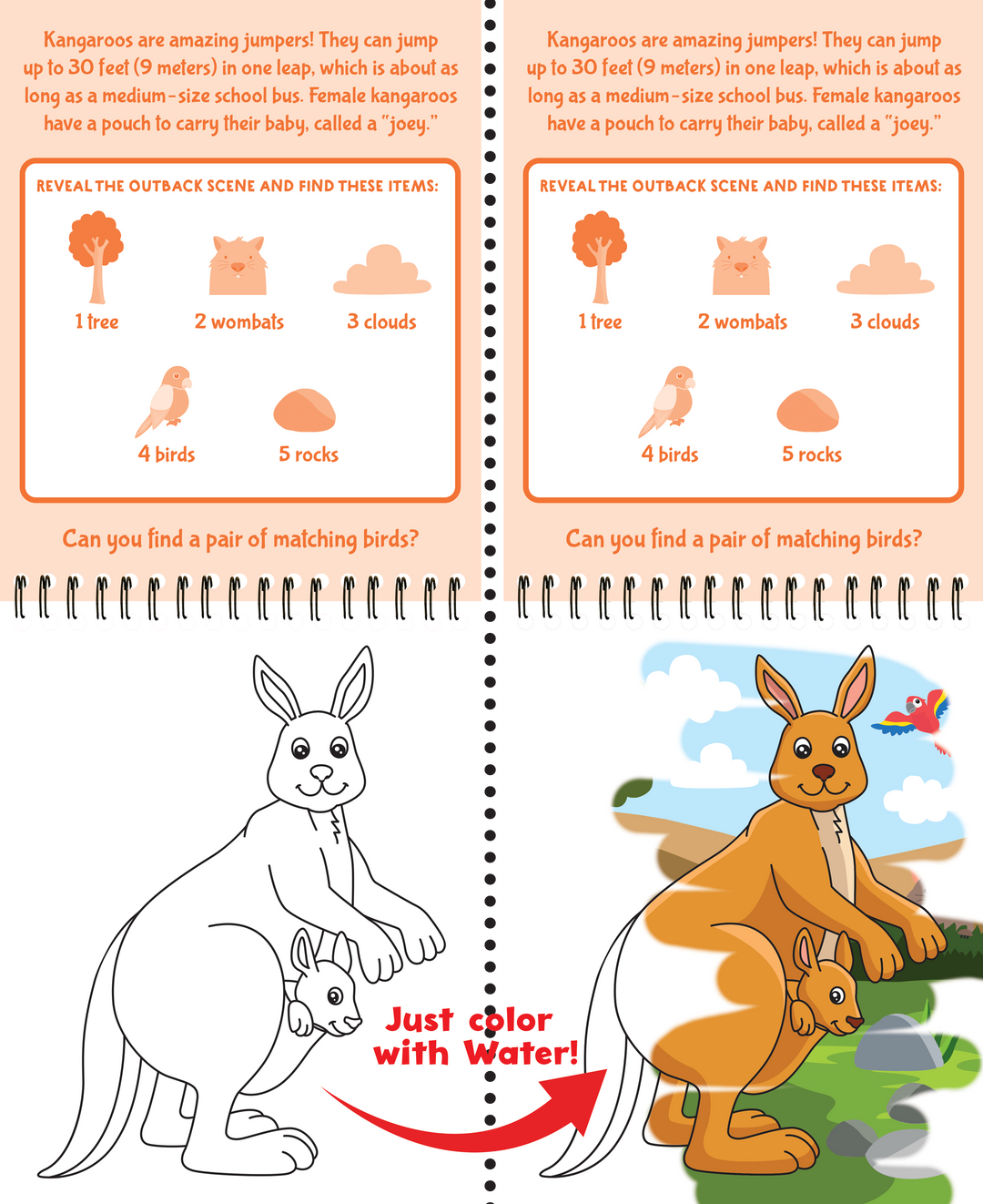 Color With Water - Wild Animals