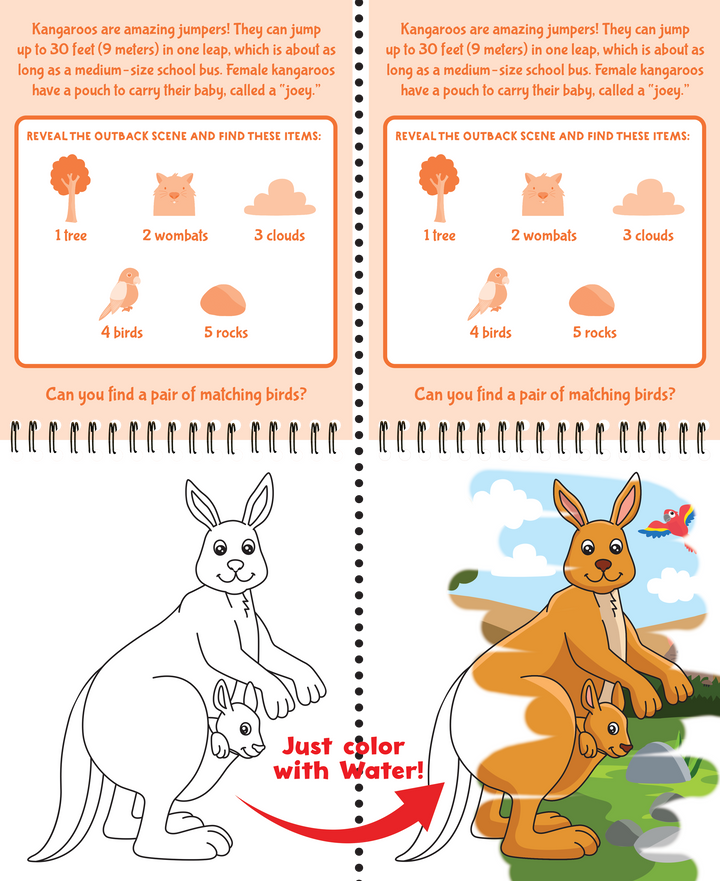 Color With Water - Wild Animals