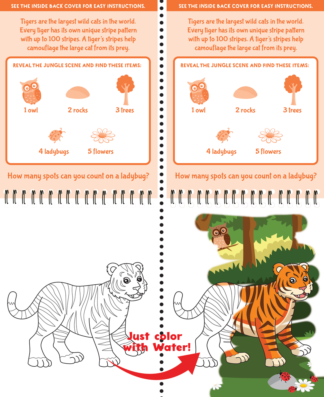 Color With Water - Wild Animals