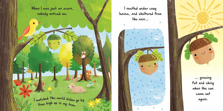 Nature Stories: Little Acorn (Board Book) by IglooBooks