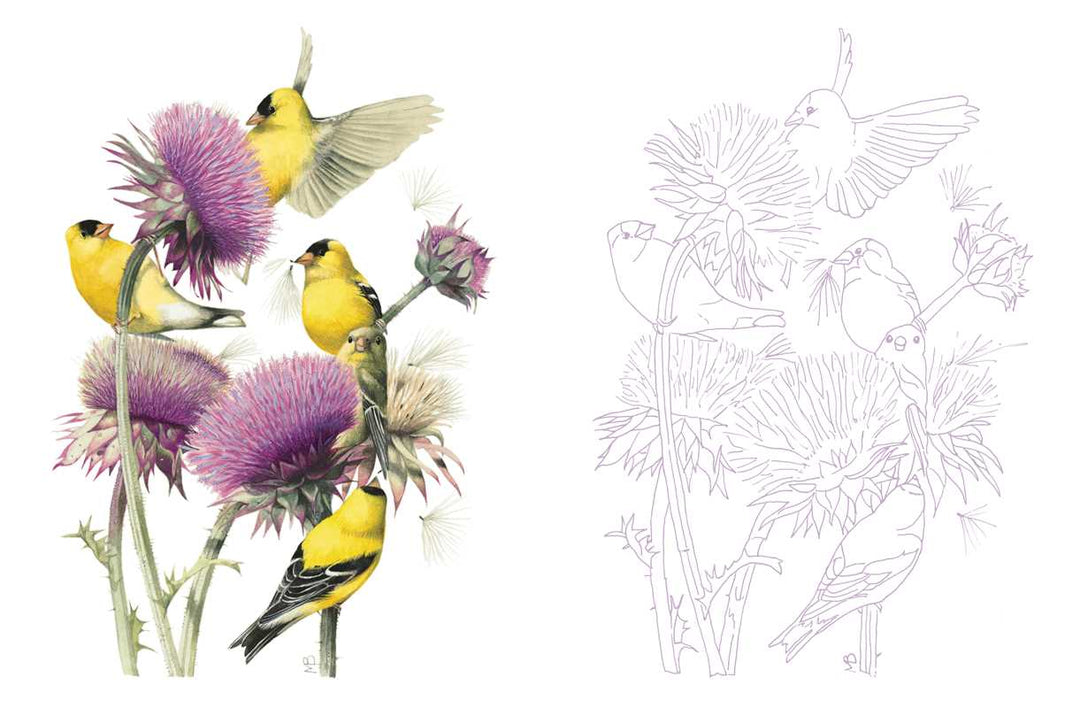 Posh Adult Coloring Book: Inspired by Nature by Marjolein  Bastin