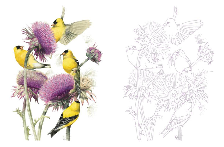 Posh Adult Coloring Book: Inspired by Nature by Marjolein  Bastin