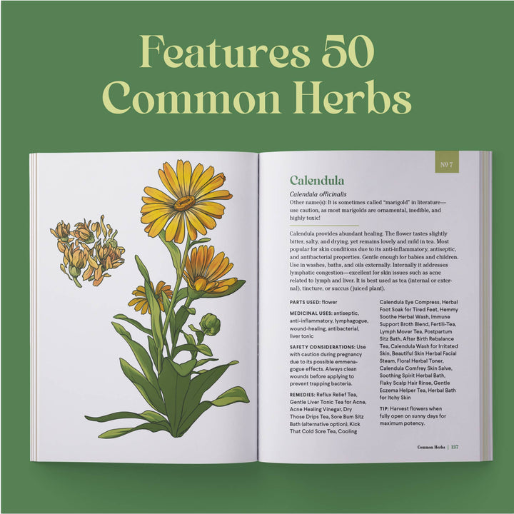 The Little Encyclopedia Of Herbal Medicine