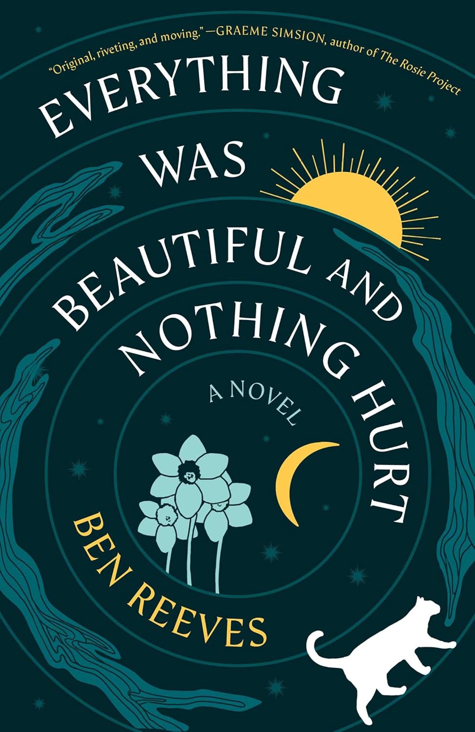 Everything Was Beautiful and Nothing Hurt by Ben Reeves (hardcover)