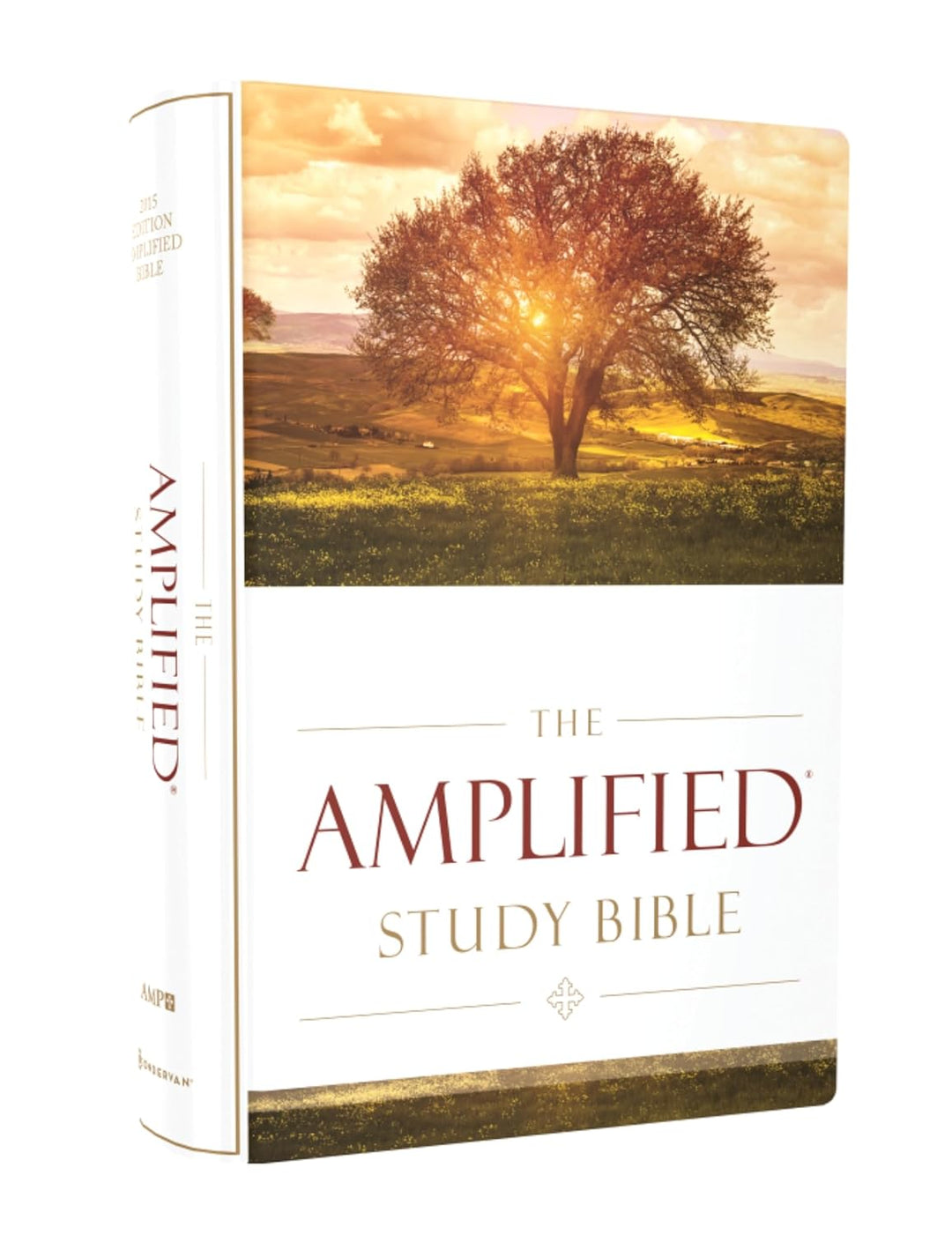 The Amplified Study Bible - Brown Leathersoft