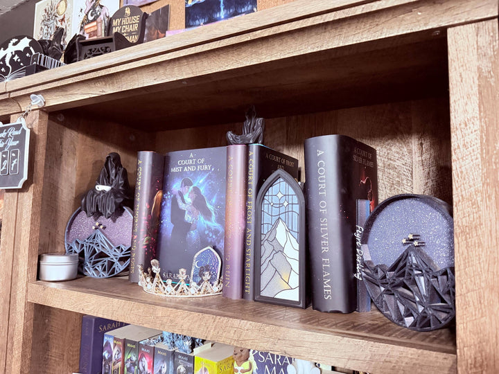 ACOTAR/Fourth Wing Stained Glass Sleeve Only