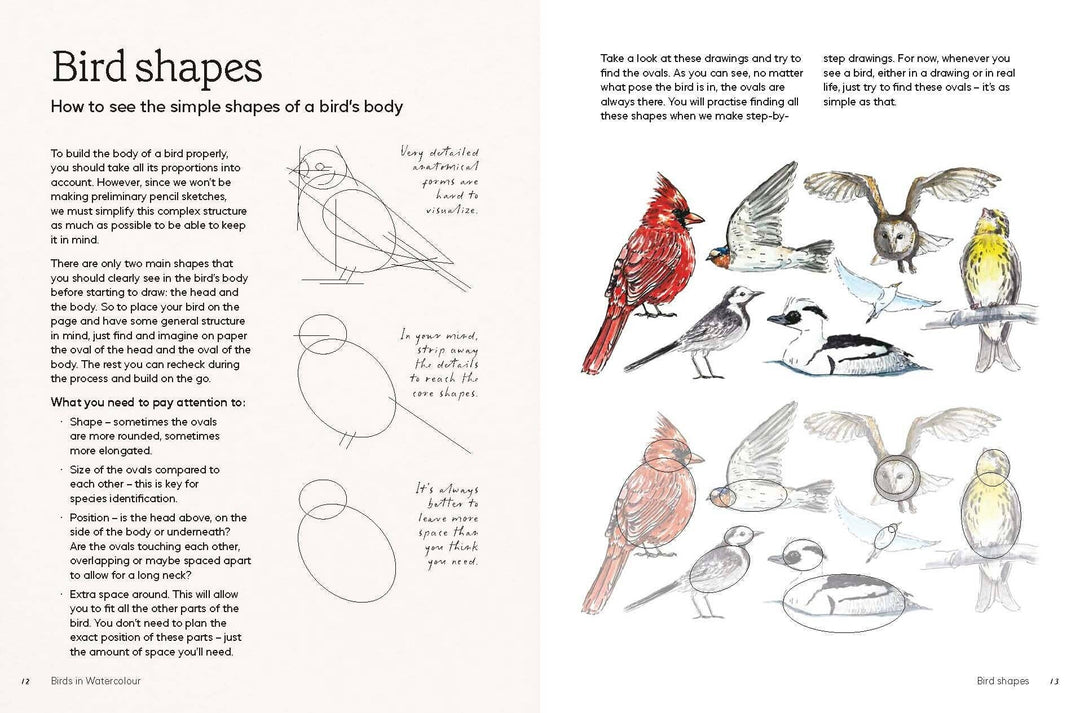 Birds in Watercolour