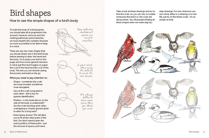 Birds in Watercolour