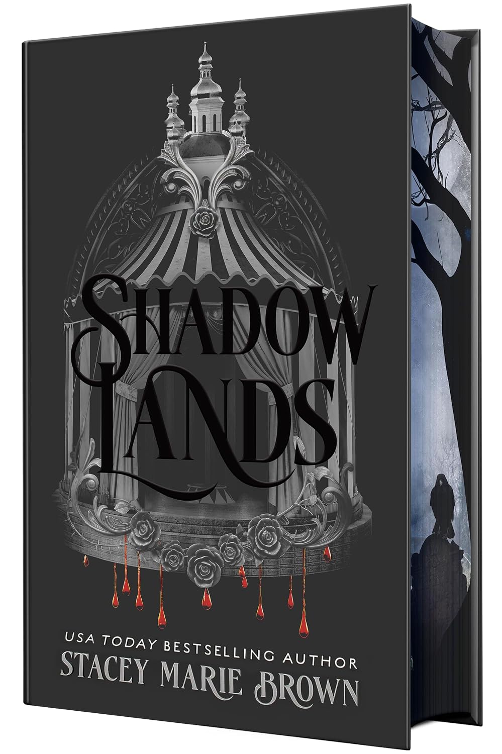 Shadow Lands by Stacey Marie Brown (Deluxe Hardcover)