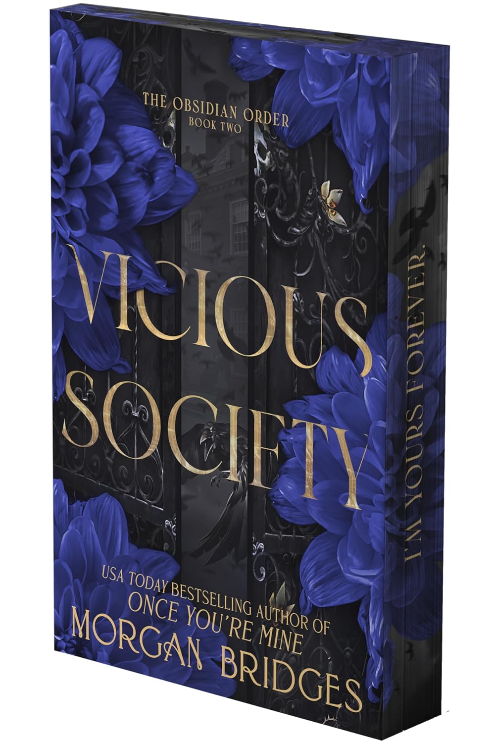 Vicious Society (Deluxe Paperback) by Morgan Bridges