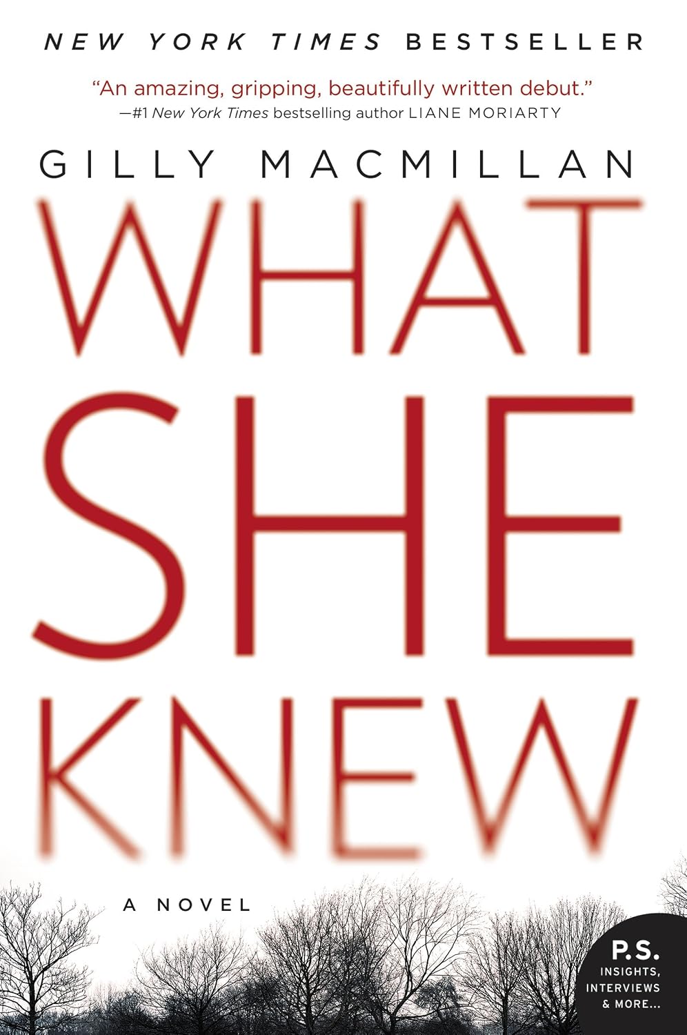 What She Knew by Gilly MacMillan (paperback)