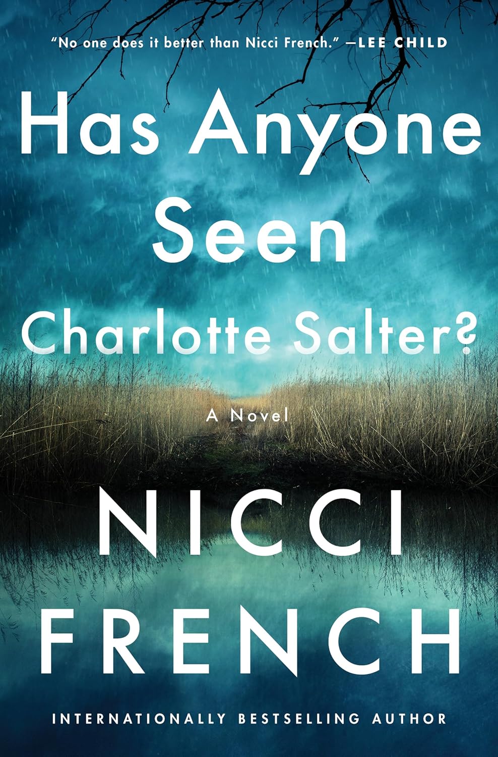 Has Anyone Seen Charlotte Salter? by Nicci French