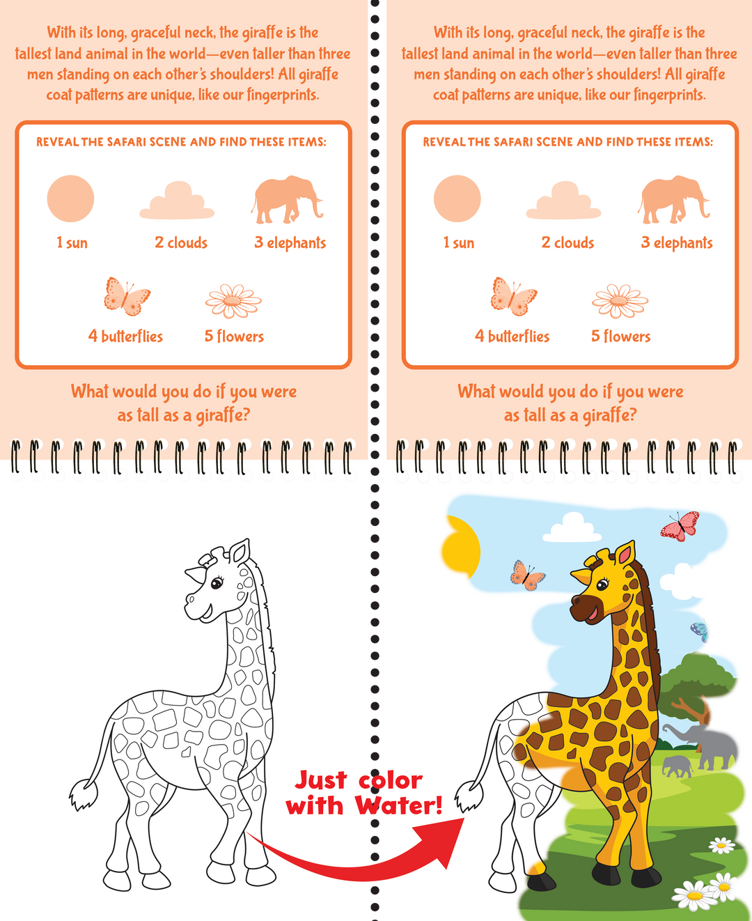 Color With Water - Wild Animals
