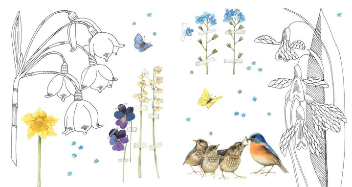 Magical Nature Coloring Pages by Marjolein  Bastin