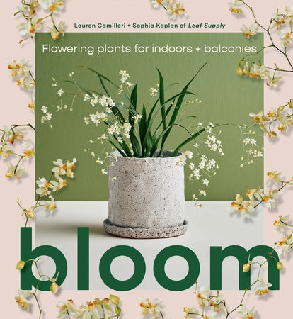 Bloom, Flowering plants for indoors, balconies by Lauren Camilleri + Sophia Kaplan