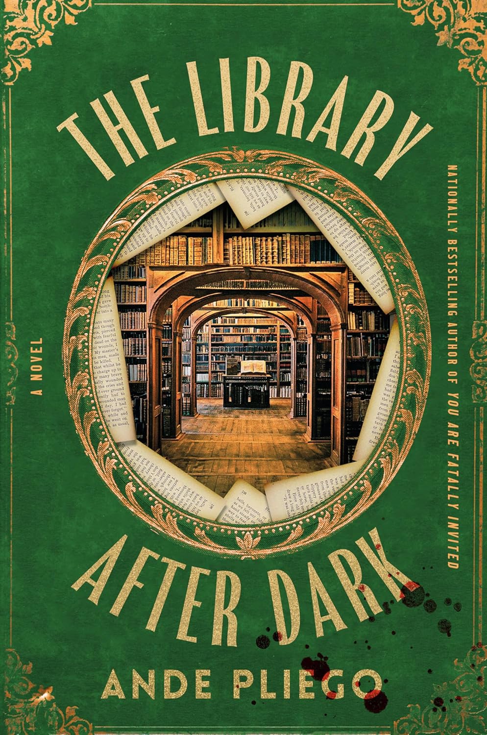 The Library After Dark (hardcover) by Ande Pliego