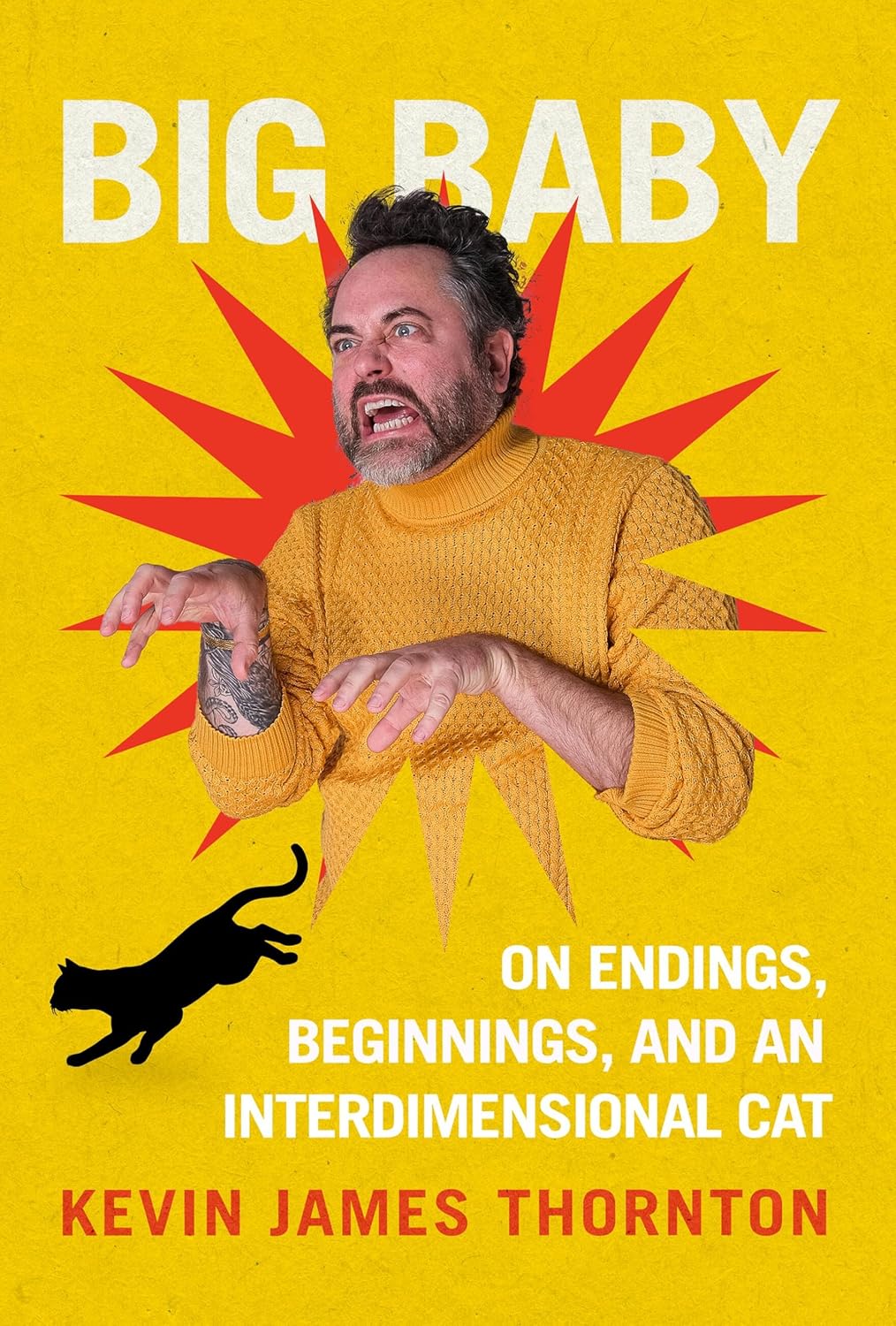 Big Baby by Kevin James Thornton (hardcover)