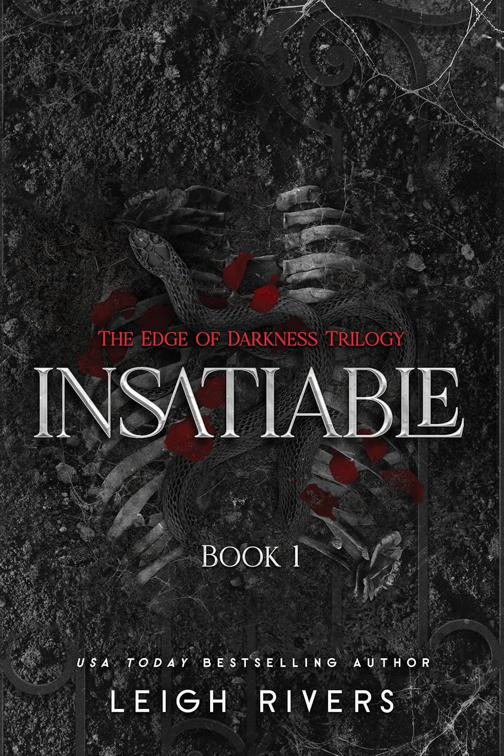 Insatiable (paperback) by Leigh Rivers
