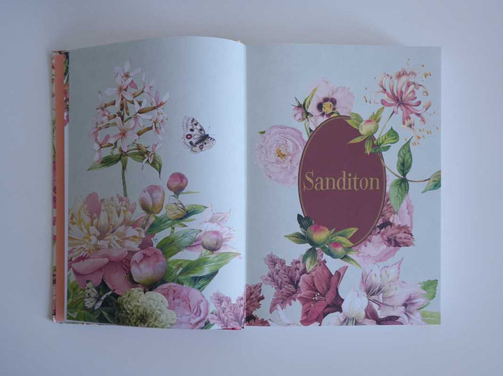 Sanditon: Illustrations by Marjolein Bastin (Hardcover)
