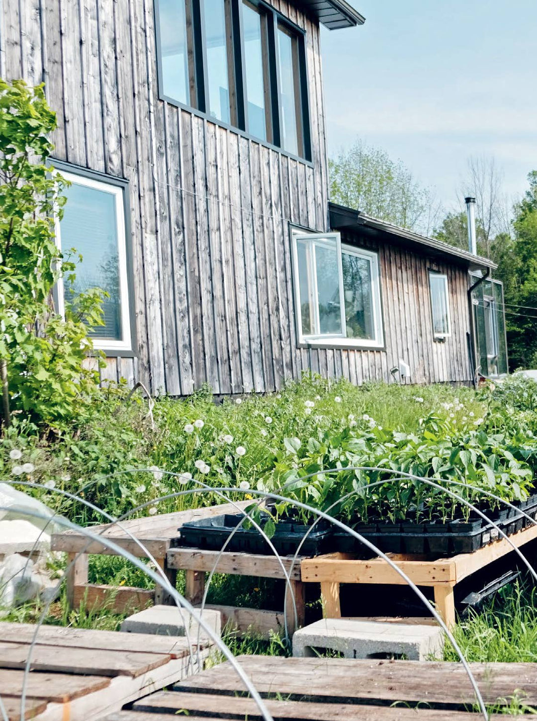 Microfarms