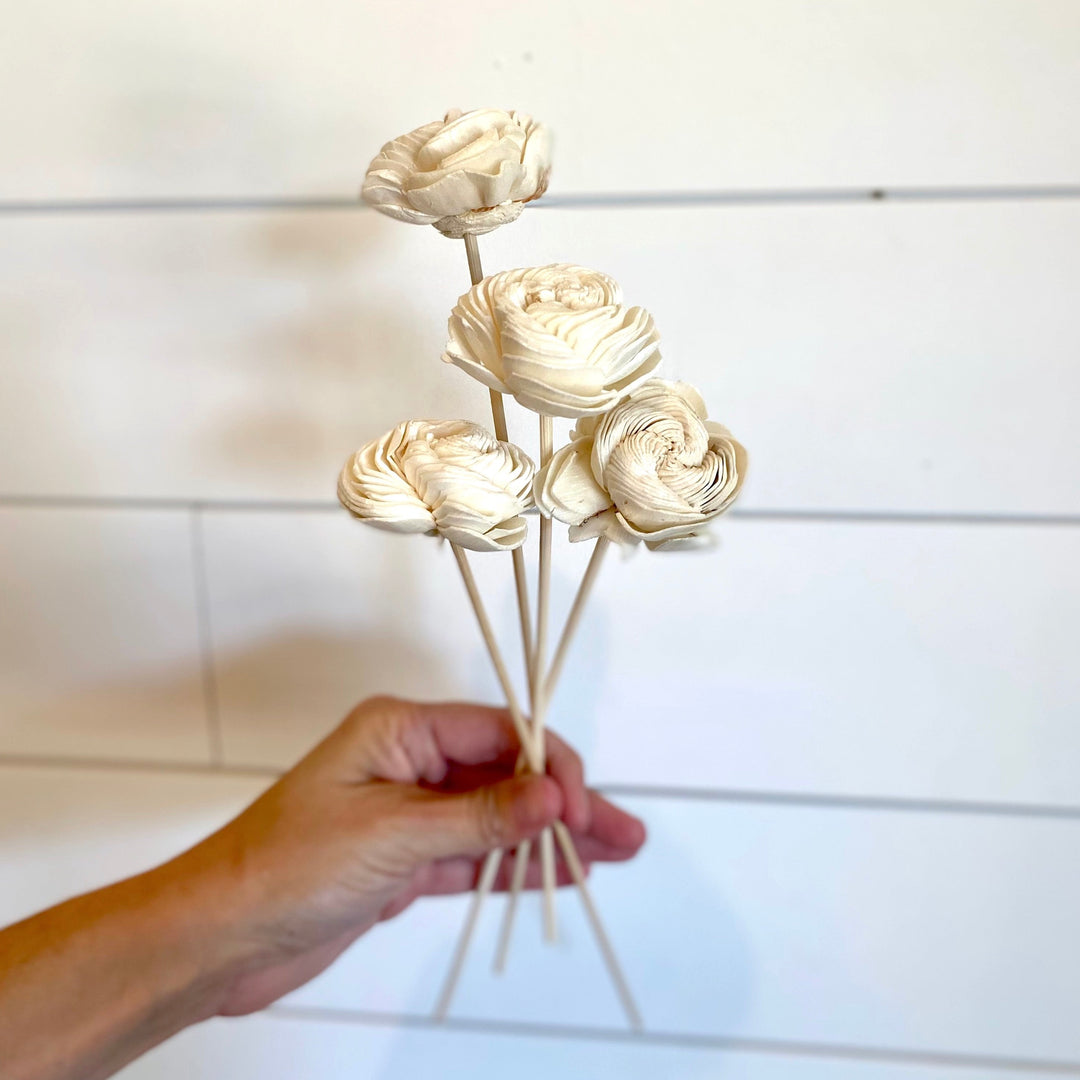Dried Shell Flower Diffuser Reeds