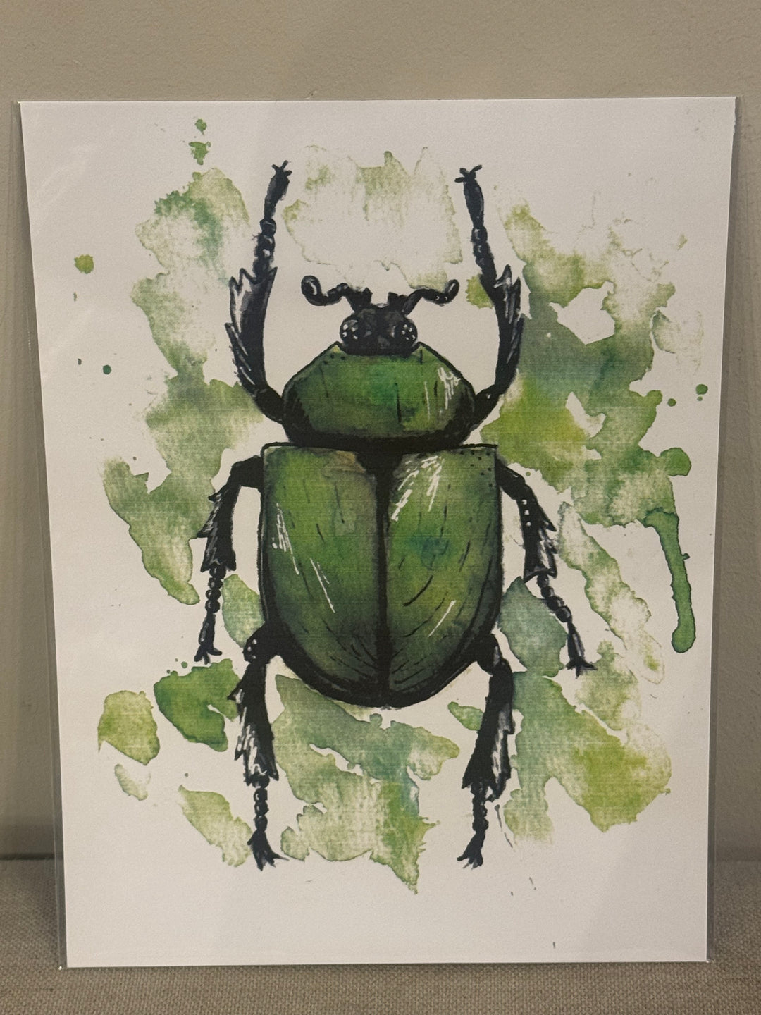 6"x8" Botanical and Insect Prints - Art By AM Collective
