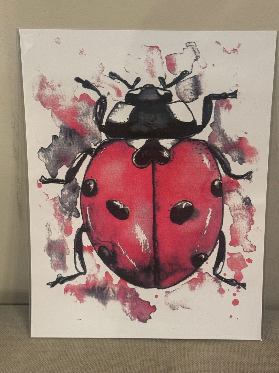 6"x8" Botanical and Insect Prints - Art By AM Collective