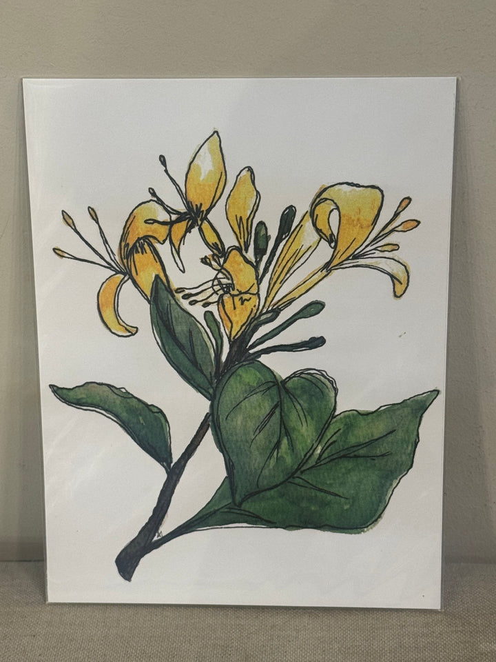 6"x8" Botanical and Insect Prints - Art By AM Collective