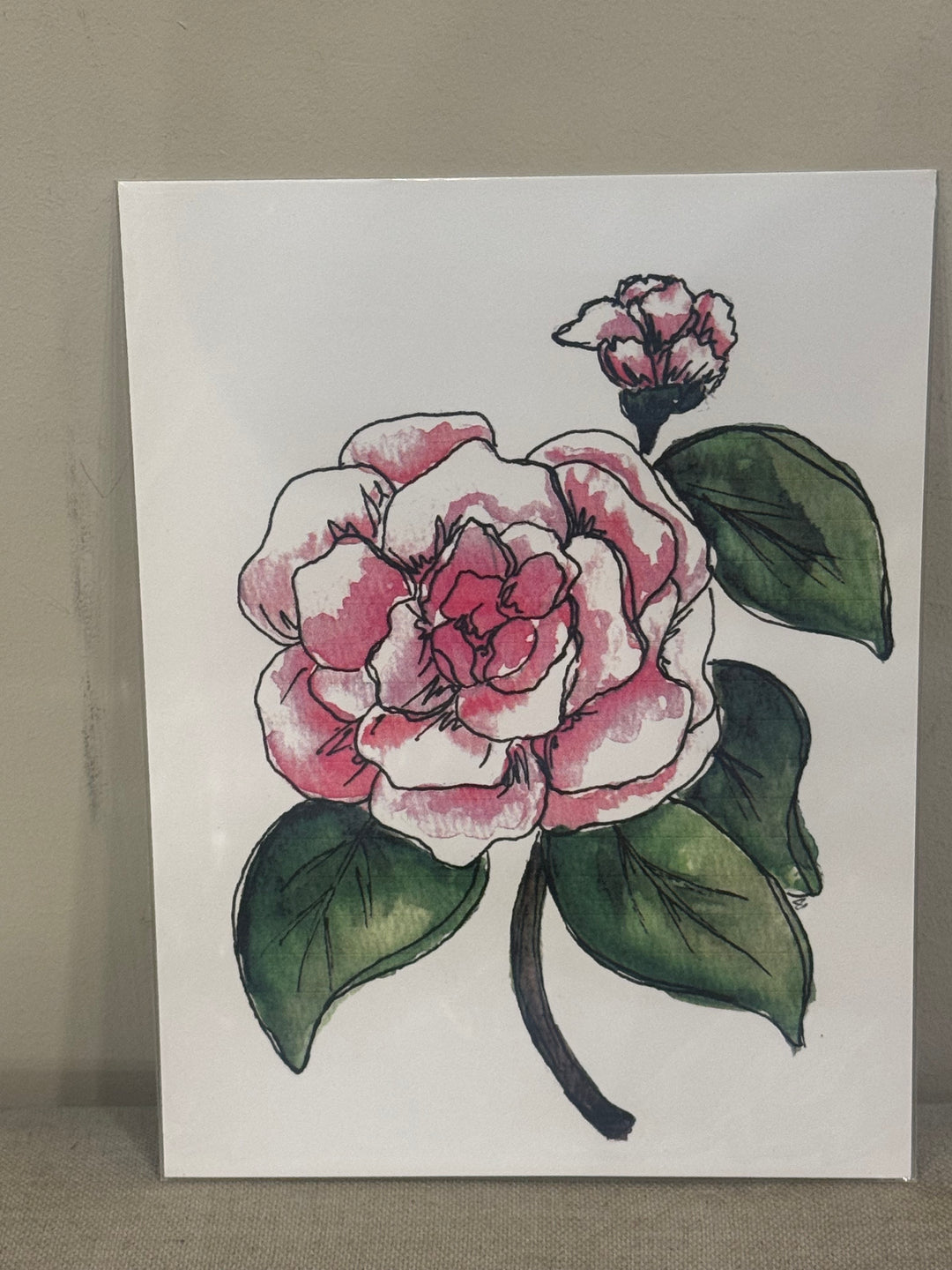 6"x8" Botanical and Insect Prints - Art By AM Collective