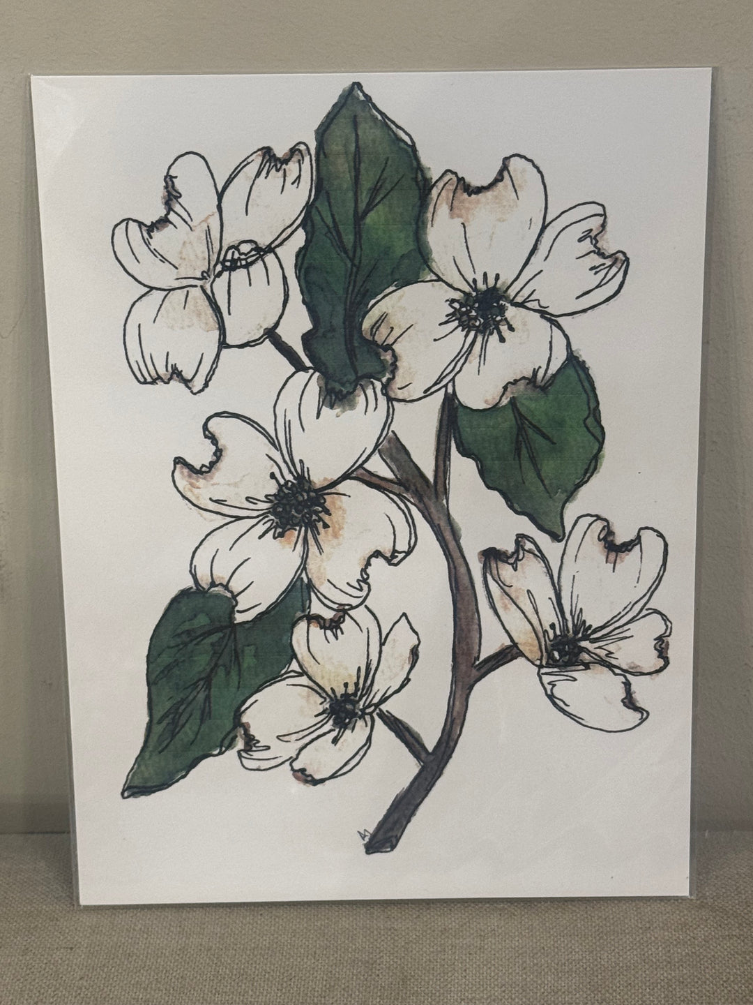 6"x8" Botanical and Insect Prints - Art By AM Collective