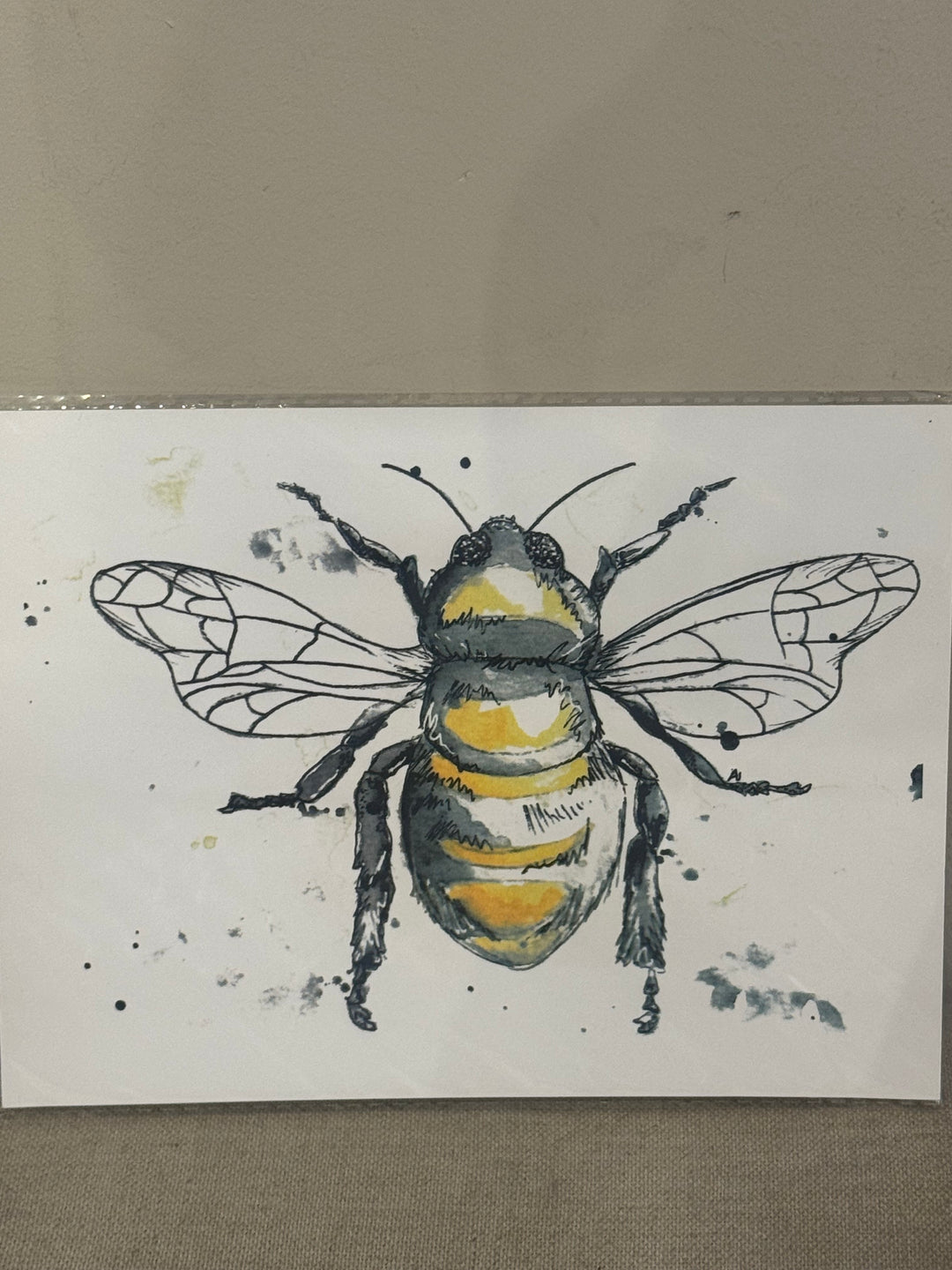 6"x8" Botanical and Insect Prints - Art By AM Collective