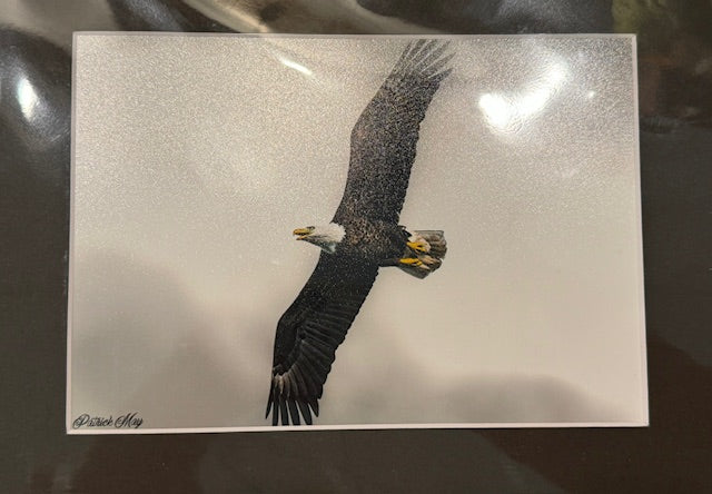 5x7 Matted Photos by Patrick May Photography