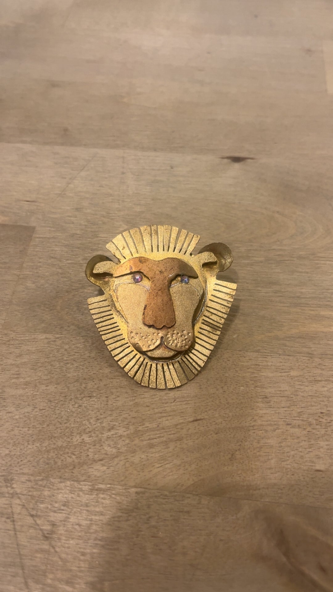 Brass Lion Head by Becky R.