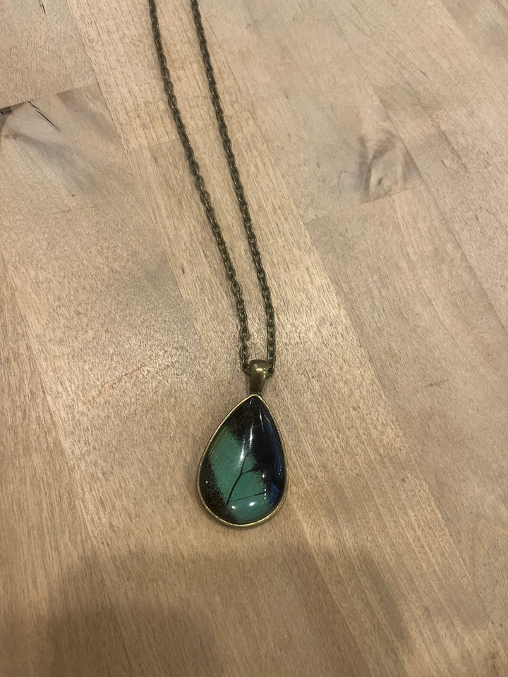 Katie Calvert Insect Jewelry - Various Styles