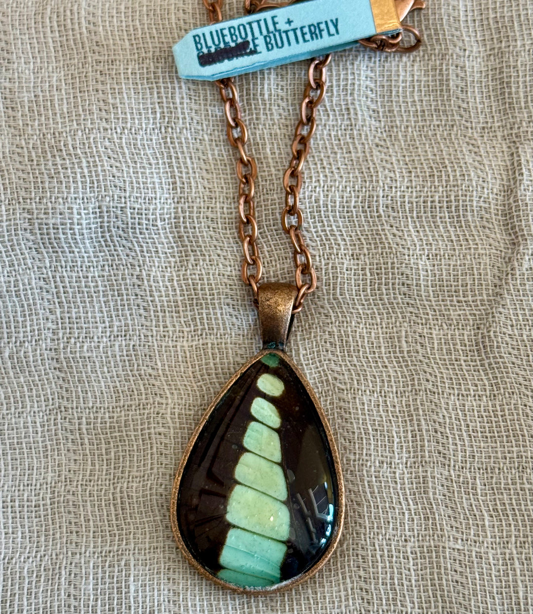 Katie Calvert Insect Jewelry - Various Styles