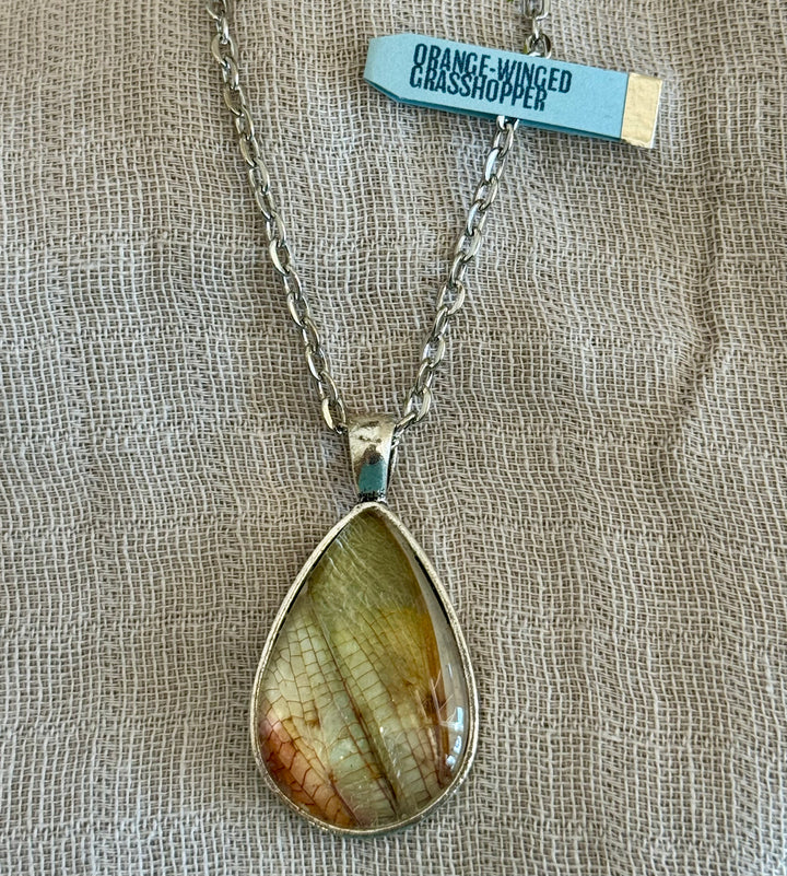 Katie Calvert Insect Jewelry - Various Styles