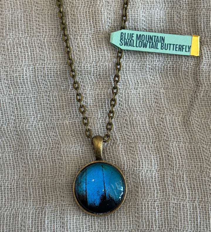 Katie Calvert Insect Jewelry - Various Styles
