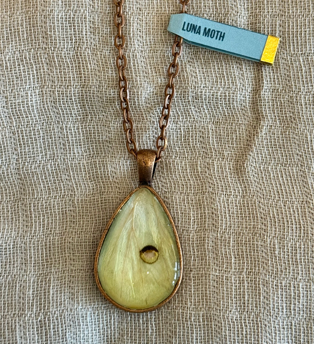 Katie Calvert Insect Jewelry - Various Styles
