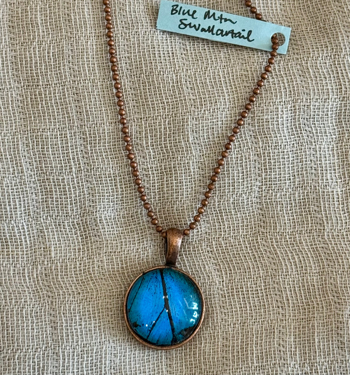 Katie Calvert Insect Jewelry - Various Styles
