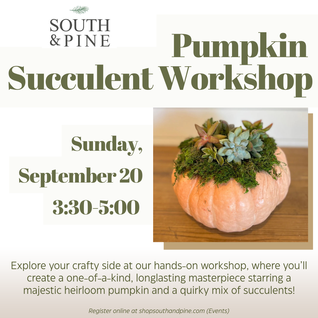 Pumpkin Succulent Arrangement Workshop - September 20, 2026
