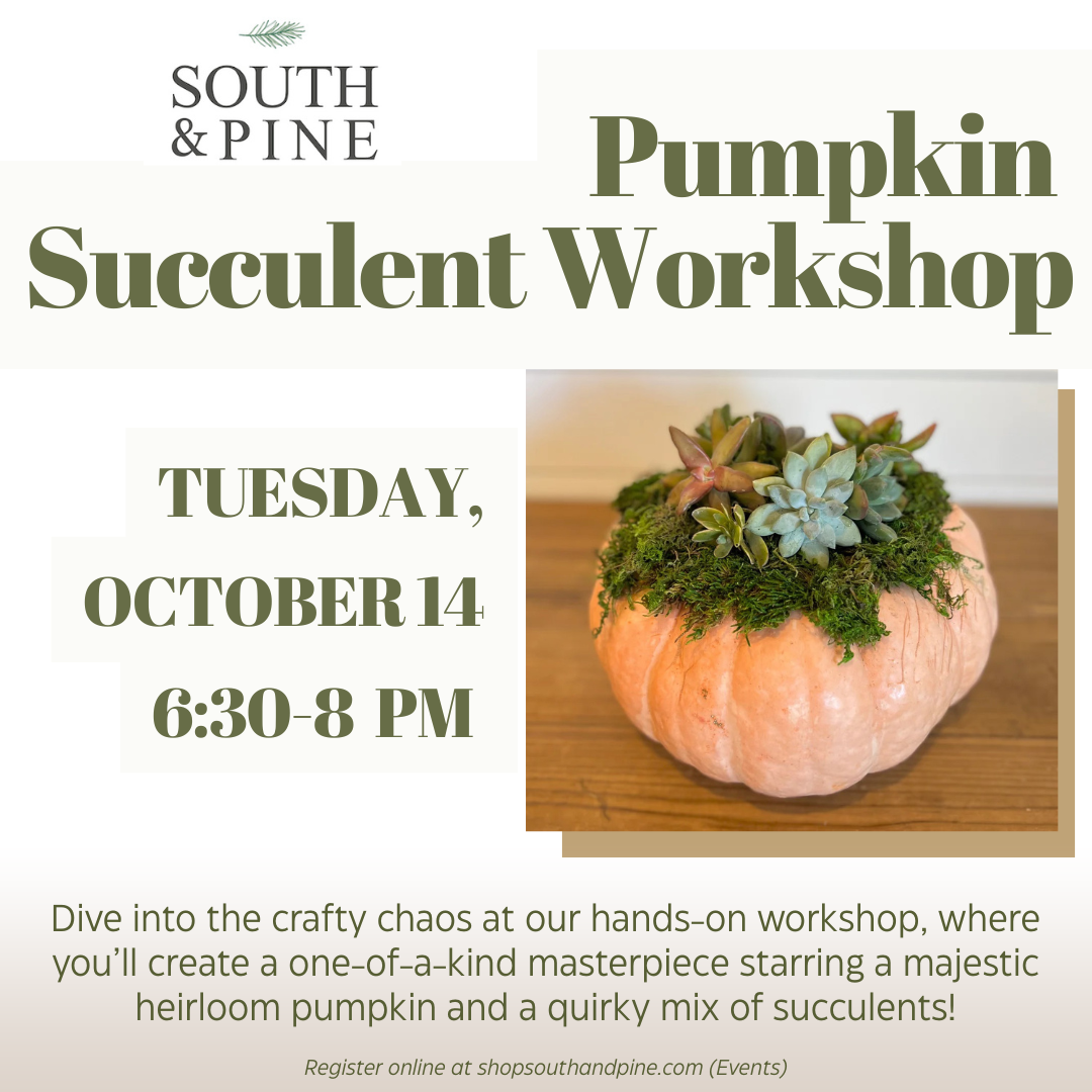 Pumpkin Succulent Arrangement Workshop - Oct 14, 2024