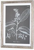 Black and White Leafy Wall Decor - 3 Styles