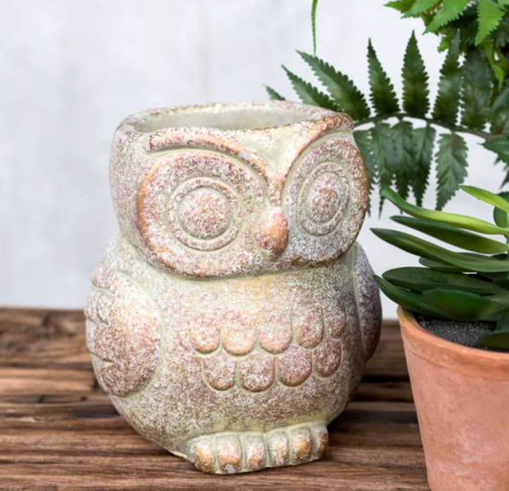 Cement Owl Planter - Verdi Copper Finish