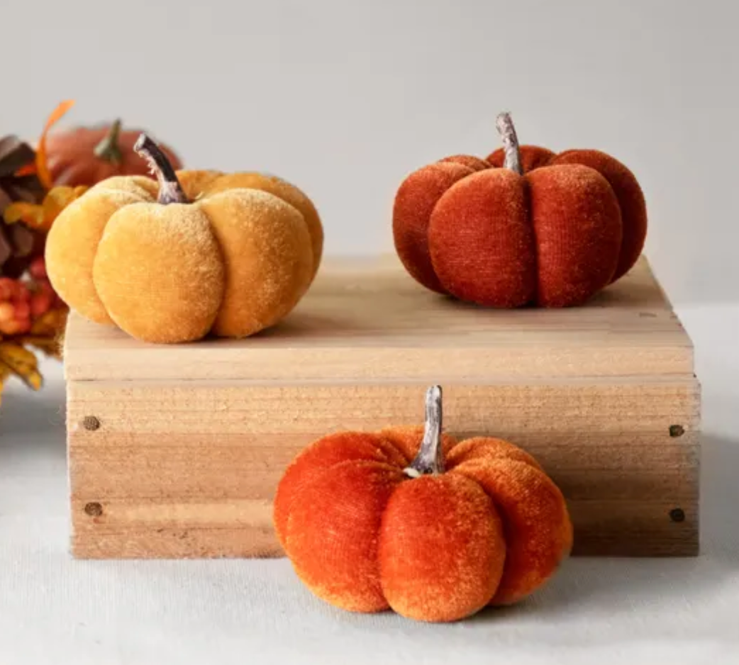Small Velvet Pumpkins (3 colors)