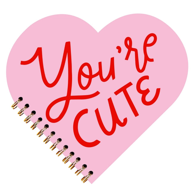 Valentine's Day Notebook | You're Cute